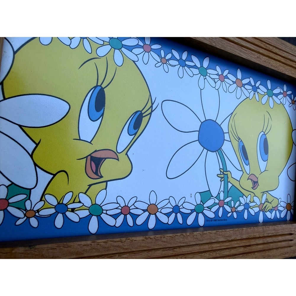 Vintage 1996 Tweety Bird Warner Bros Framed Wall Art Wood Frame Daisy Looney Tun